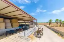 Alquiler vacacional en Sa caseta de ses vaques.son covas