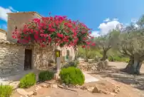 Holiday rentals in Can tiona