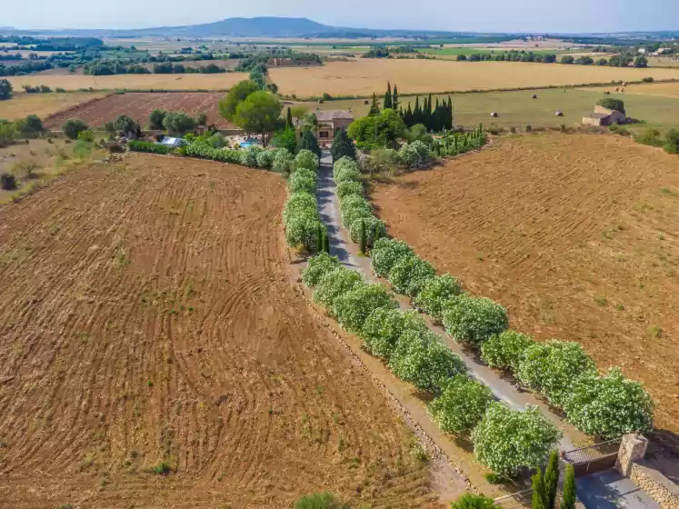Holiday rentals in Banc doli, Manacor
