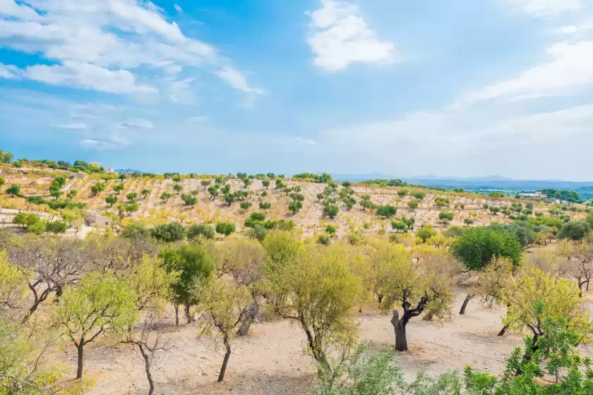 Ferienhaus auf Sa mata, Campanet