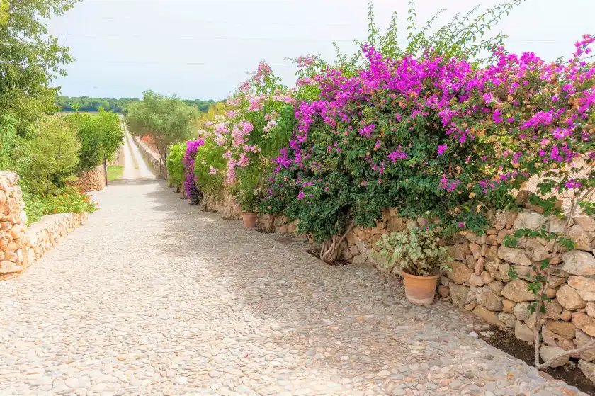 Ferienhaus auf Sa mata grossa, Campanet