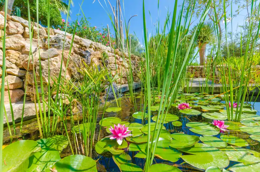 Ferienhaus auf Sa mata grossa, Campanet