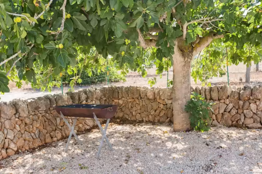 Holiday rentals in Short de son fideu, s'Estanyol de Migjorn