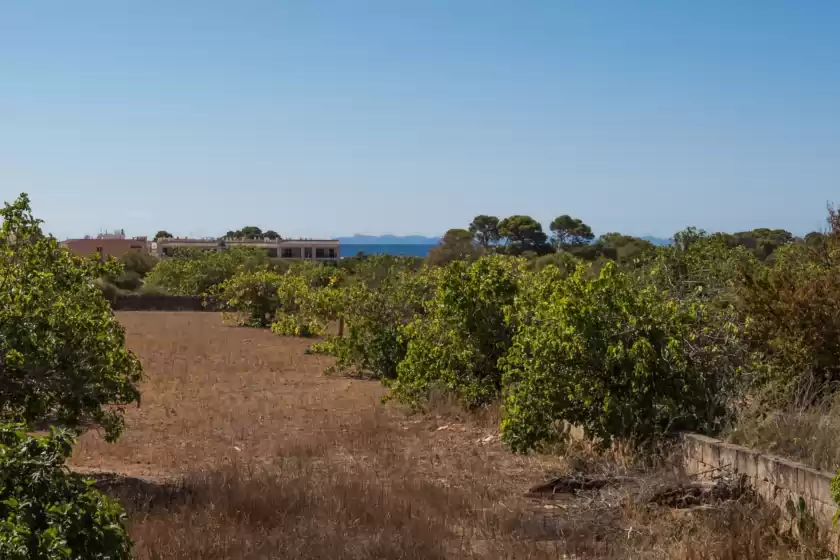 Holiday rentals in Short de son fideu, s'Estanyol de Migjorn