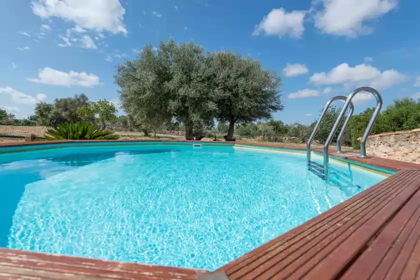 Holiday rentals in Son rossinyol