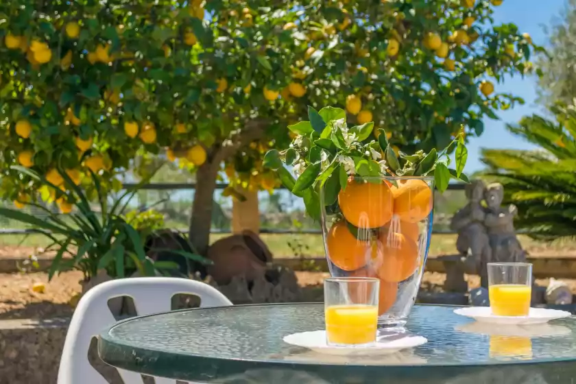 Holiday rentals in Son rossinyol, Llubí