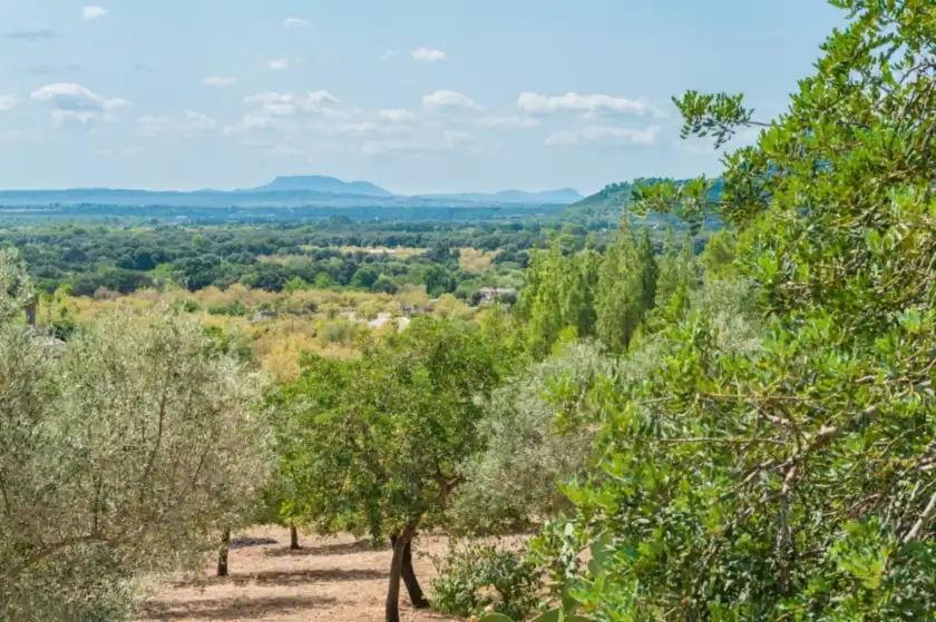 Holiday rentals in Sa sini, Búger