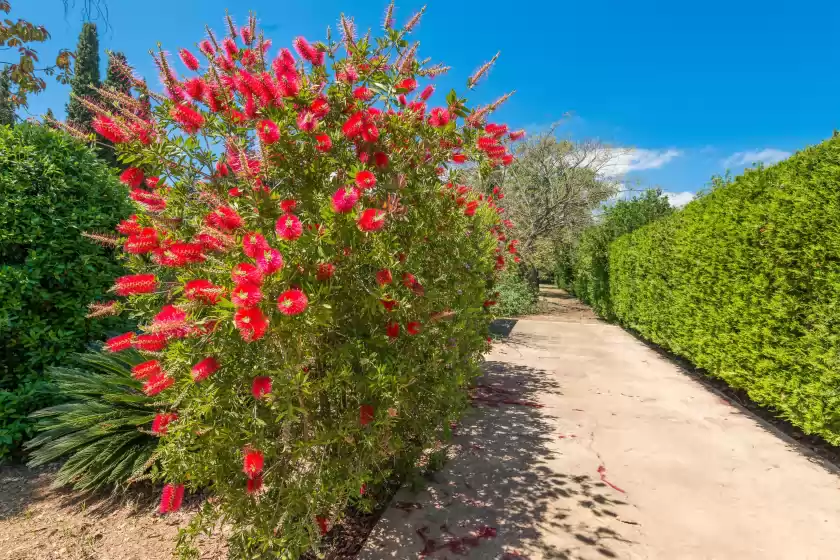 Holiday rentals in Ca na sioneta, Campanet