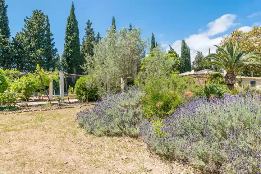 Holiday rentals in Ca na sioneta, Campanet