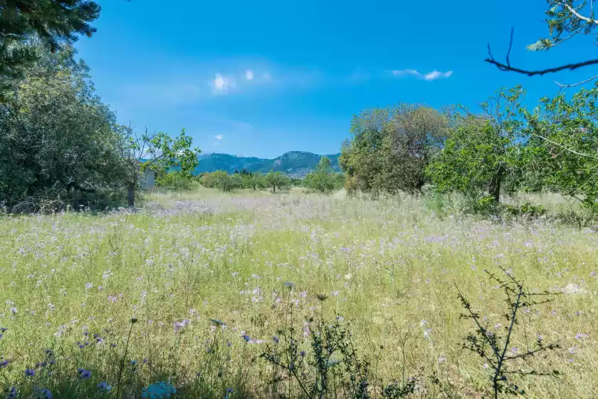 Holiday rentals in Ca na sioneta, Campanet