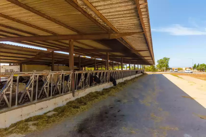 Alquiler vacacional en Sa caseta de ses vaques.son covas, Campos