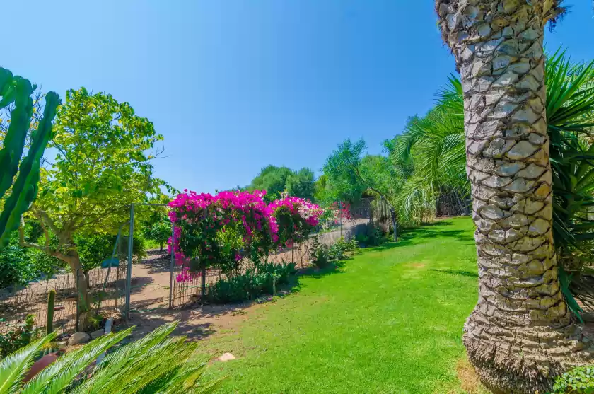 Location de vacances à Cas conco, s'Horta