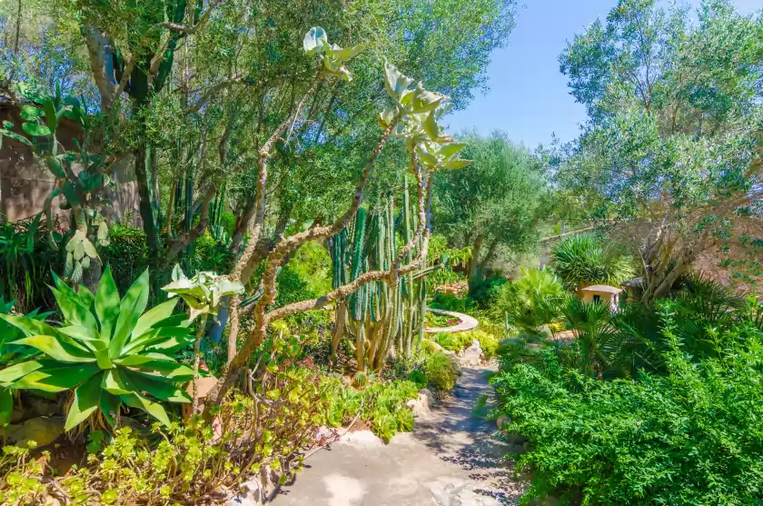 Location de vacances à Cas conco, s'Horta