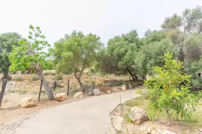 Location de vacances à Son orlandis, Port d'Andratx