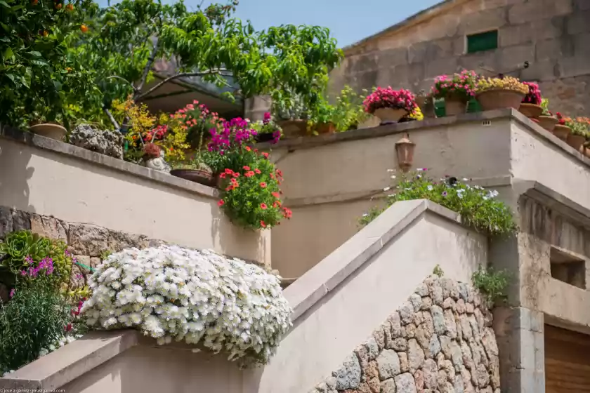 Location de vacances à Circe, Fornalutx