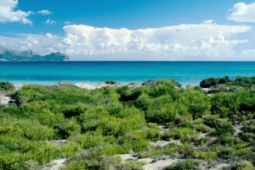 Ferienhaus auf Villa campins, Platja d'Alcúdia