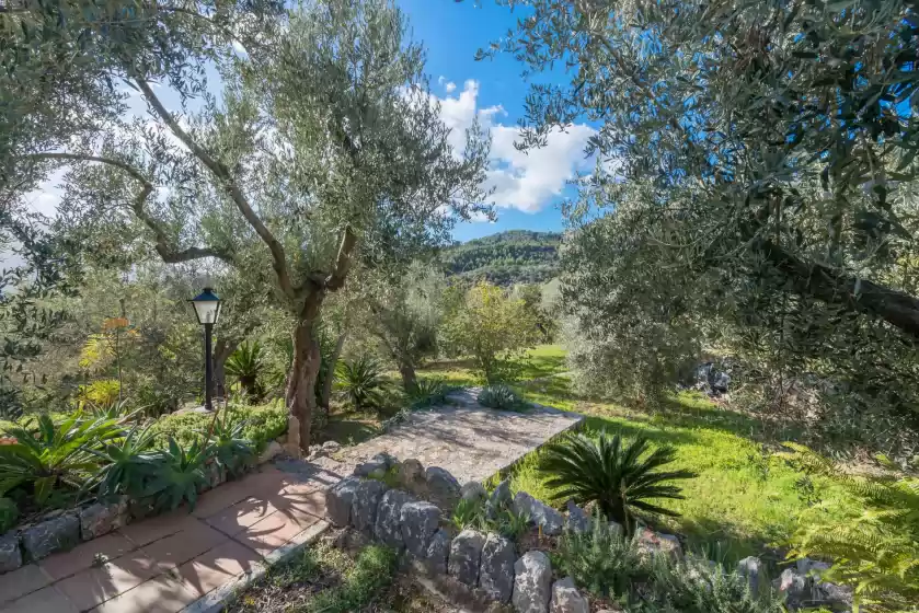 Holiday rentals in S'olivaret, Fornalutx