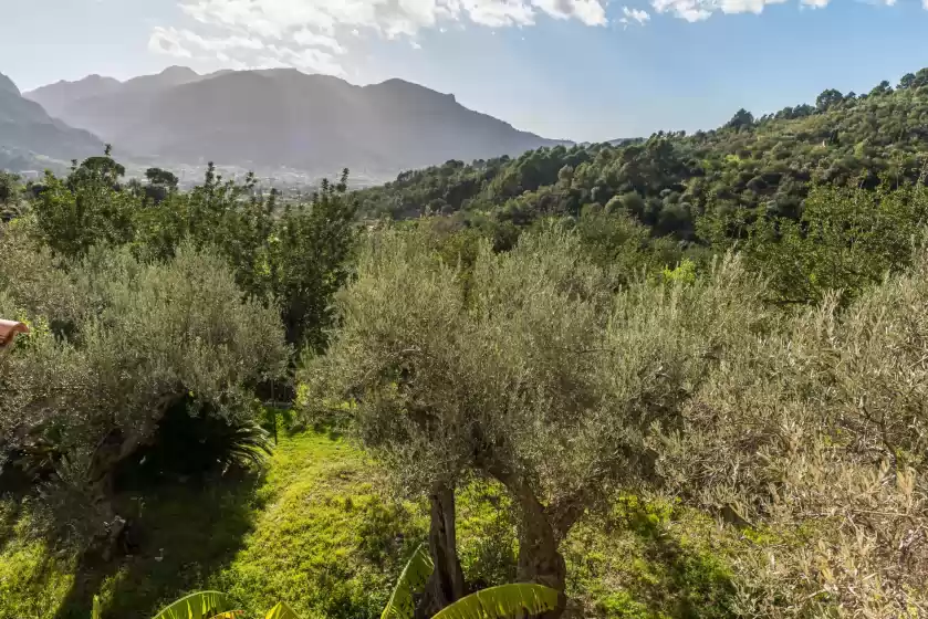 Holiday rentals in S'olivaret, Fornalutx