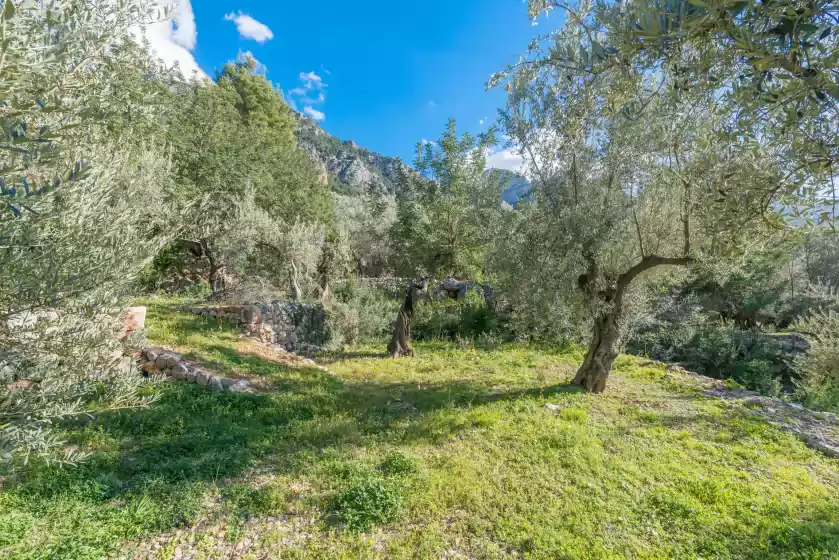 Holiday rentals in S'olivaret, Fornalutx