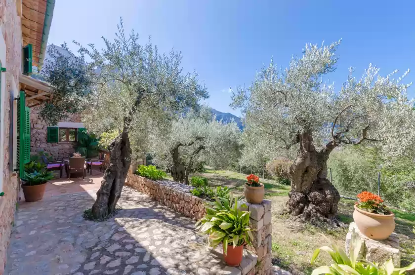 Holiday rentals in S'olivaret, Fornalutx