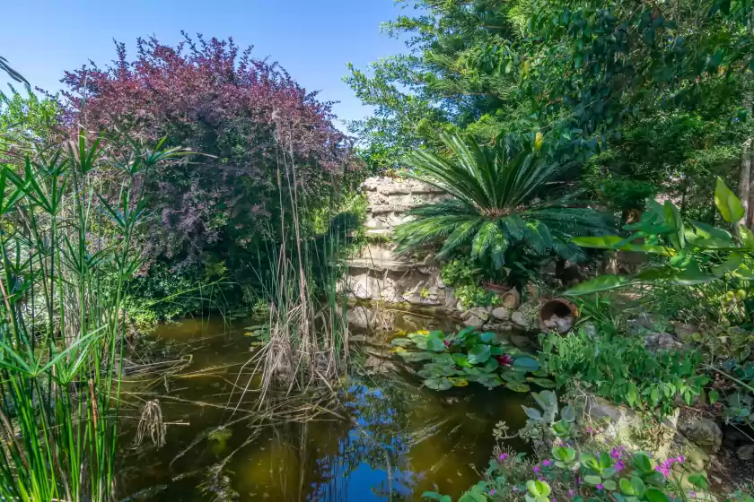 Location de vacances à Pili, Felanitx