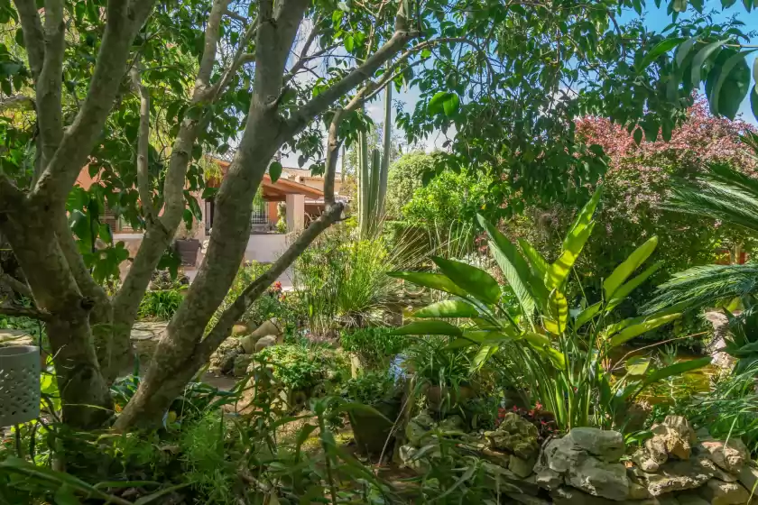 Location de vacances à Pili, Felanitx