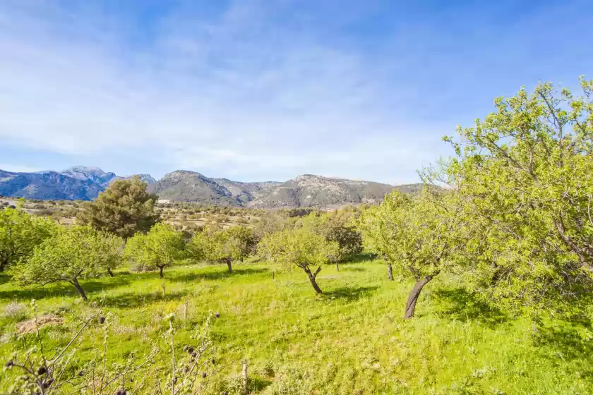 Holiday rentals in S'alqueria, Campanet