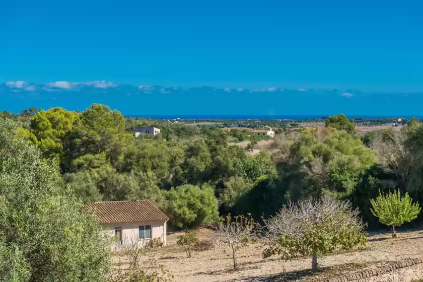 Holiday rentals in Finca son colom, Manacor