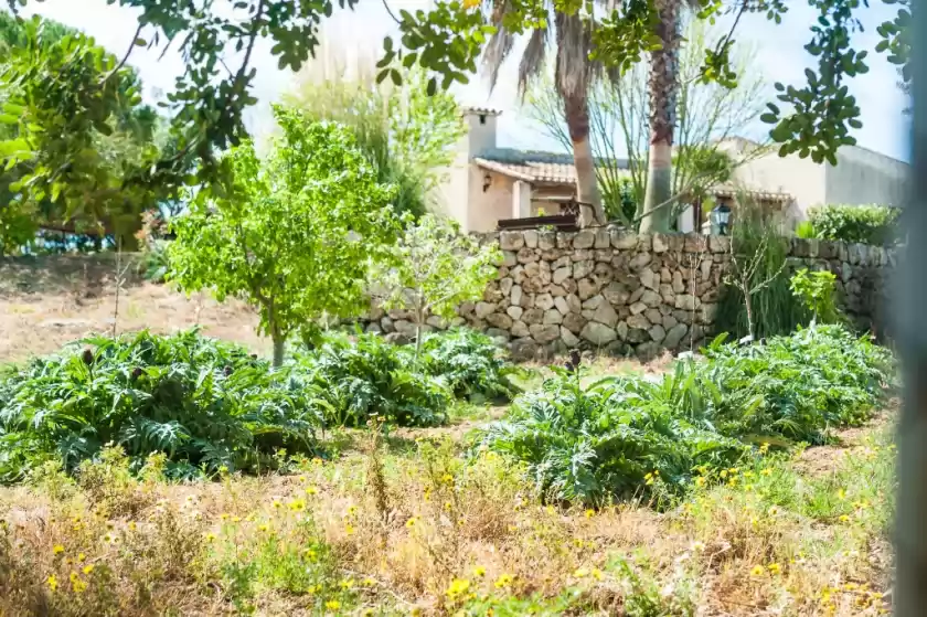 Alquiler vacacional en Vila, Santa Margalida