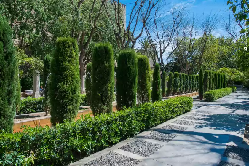 Ferienhaus auf El pradillo, Palmanyola