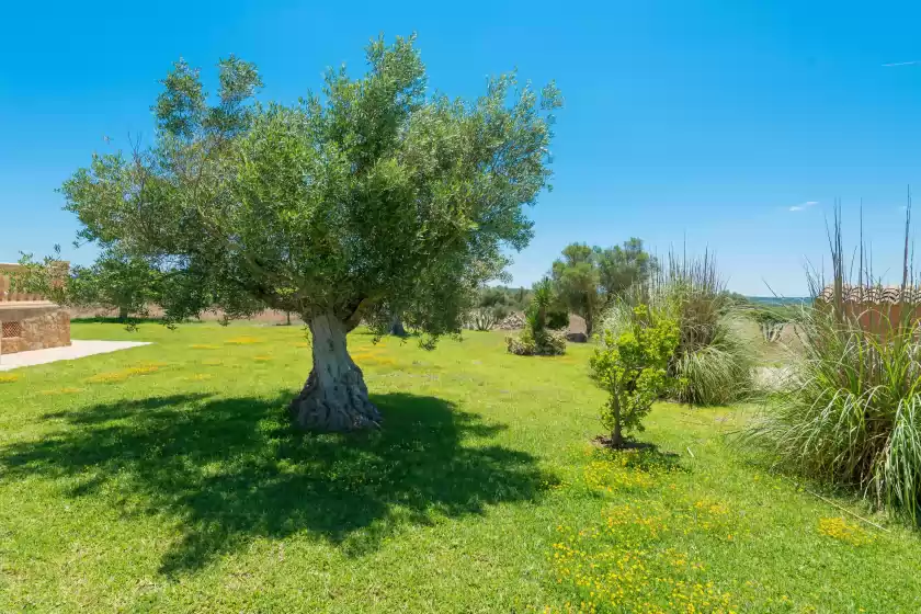 Ferienhaus auf Birkadem, Santa Margalida