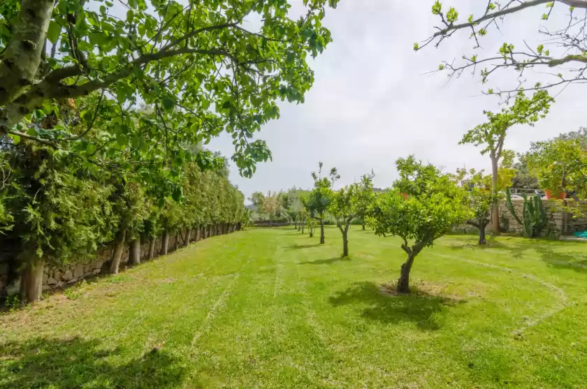 Holiday rentals in Es rafal de baix, Son Servera