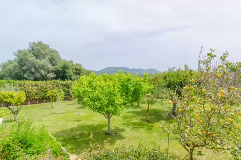 Holiday rentals in Es rafal de baix, Son Servera