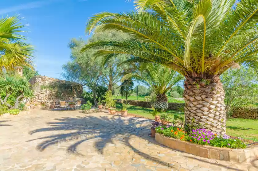 Ferienhaus auf Ca's mungi vell, s'Horta