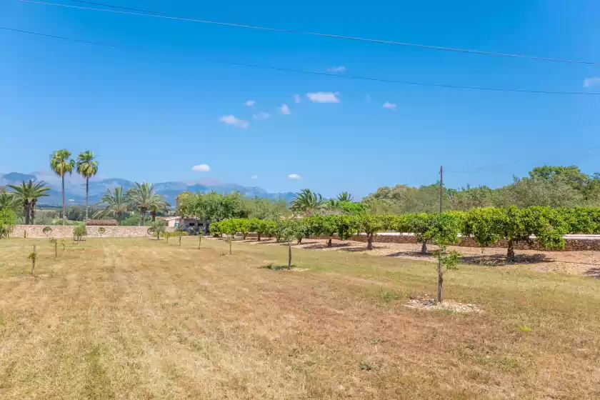 Holiday rentals in Son real, Sencelles