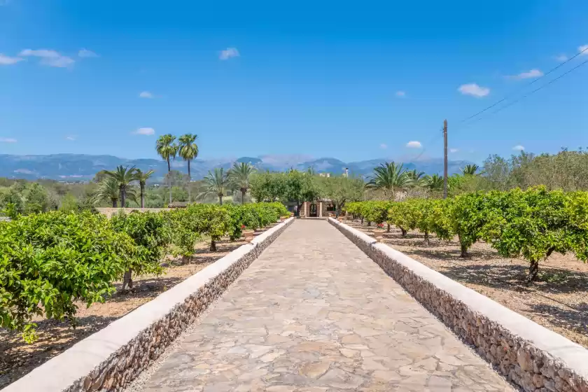 Holiday rentals in Son real, Sencelles