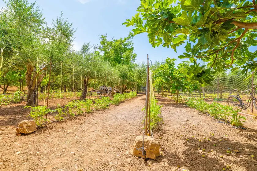 Holiday rentals in Can pereó, Selva
