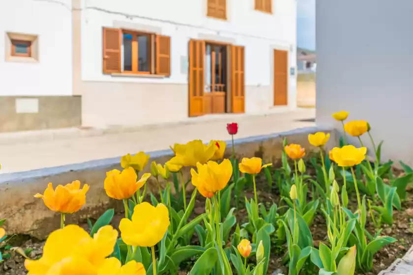 Ferienhaus auf Vila ca shermano, Colònia de Sant Pere