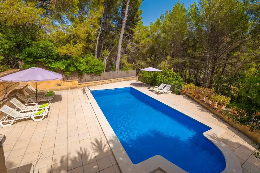 Alquiler vacacional en Can pere vell, Andratx