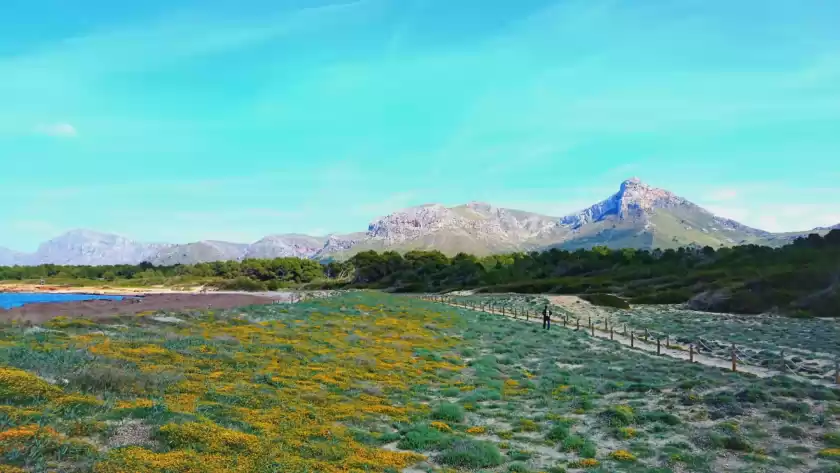 Ferienhaus auf Sestanyol, s'Estanyol