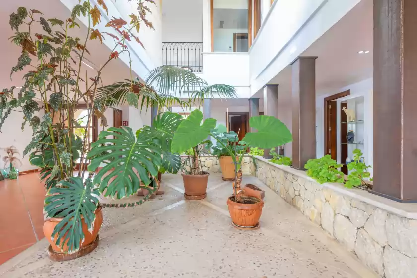 Holiday rentals in Turixant dalt, Mancor de la Vall