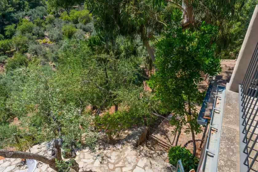 Holiday rentals in Son bou, Sóller