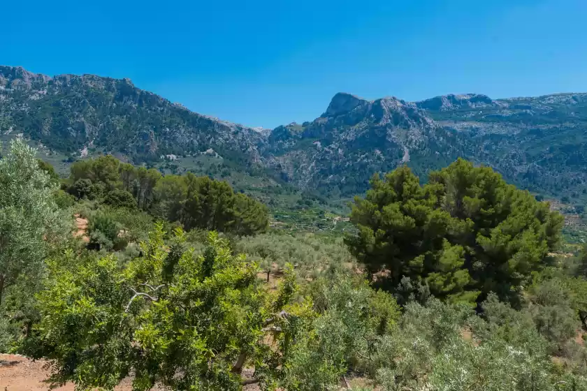 Holiday rentals in Son bou, Sóller