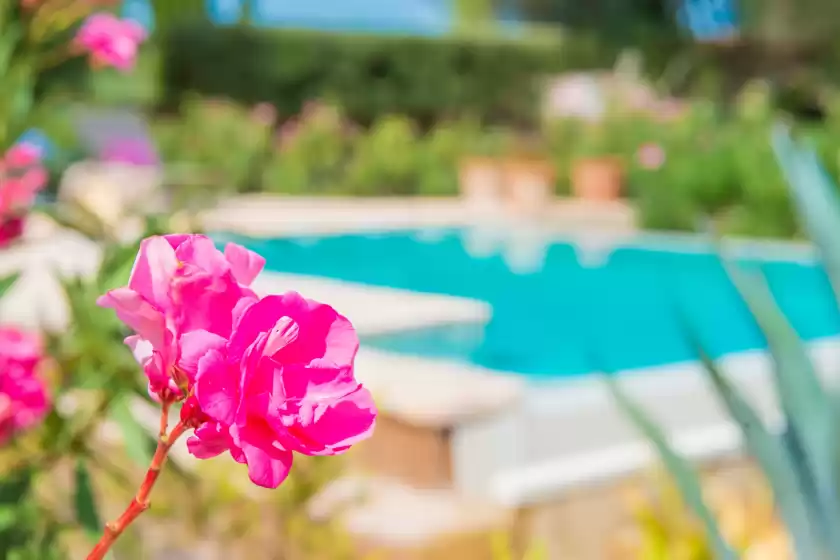 Location de vacances à Can pina - eco cascada -, Costitx