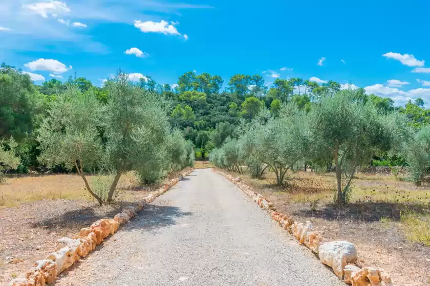 Location de vacances à Can pina - eco cascada -, Costitx