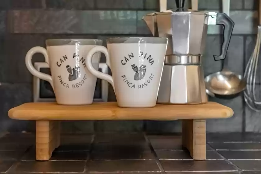 Holiday rentals in Can pina - eco groc -, Costitx