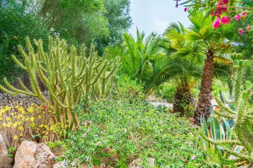 Ferienhaus auf Can pina - eco pina -, Costitx