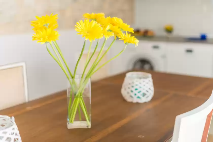 Holiday rentals in Can diana, Campanet