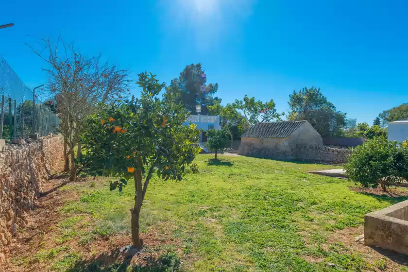 Holiday rentals in Las piedras, Llucmajor