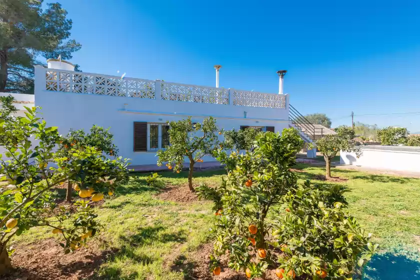 Holiday rentals in Las piedras, Llucmajor